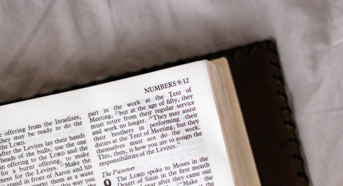Numbers Bible quiz