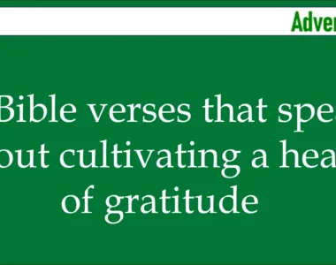 cultivating a heart of gratitude